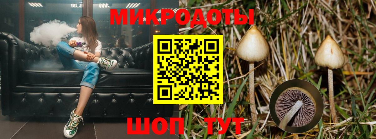 Галлюциногенные грибы Psilocybe Лобня